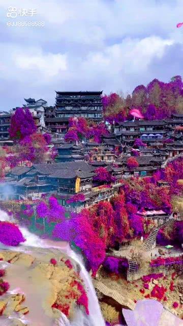 模拟山羊